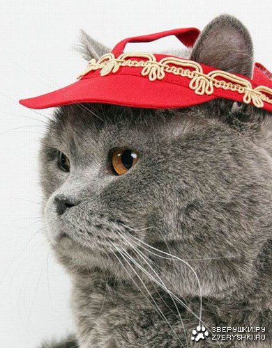 ������ ��� ;)