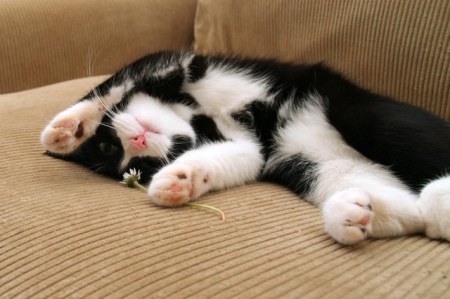 ���� ������!:)