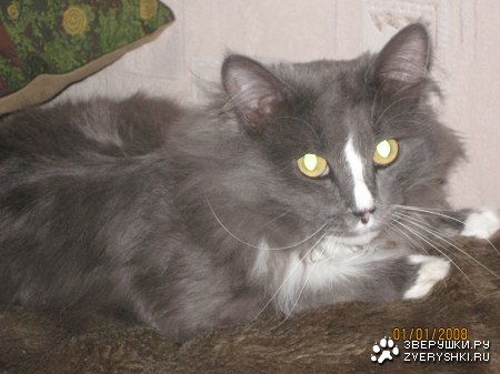 ������ :)