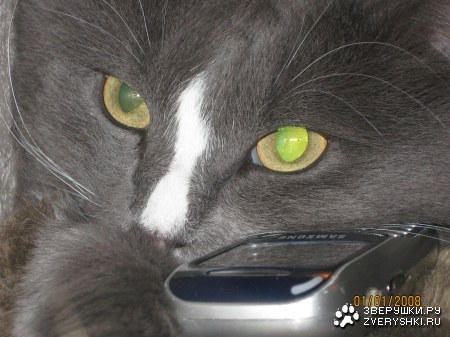 ������ :)