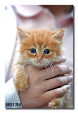 �������� ��� ���������� :)