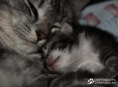 Ҹ���� �������... :)