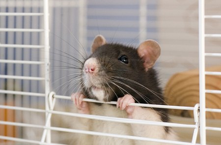 ���� ���� �� ����� ������� (7 ����)