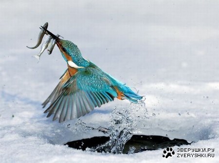 ������������! :)