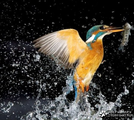 ������������! :)