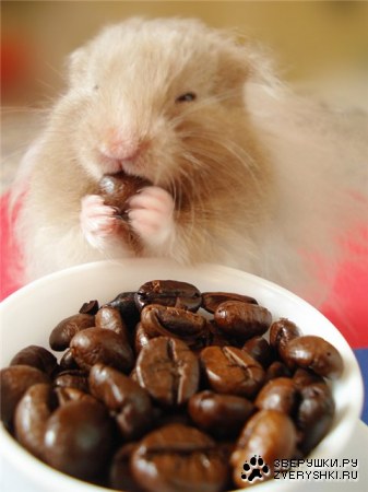 �������� ������ ;)