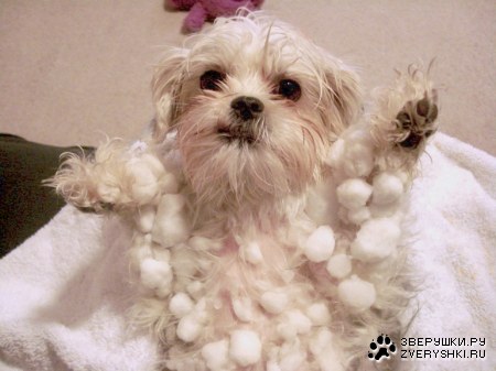 �������, ��� ������� ;)