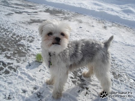 �������, ��� ������� ;)