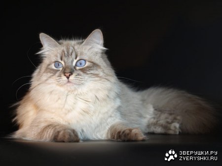 ������� � ������ (23 ����)