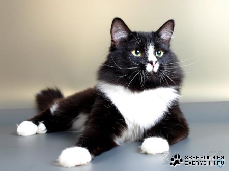 ������� � ������ (23 ����)