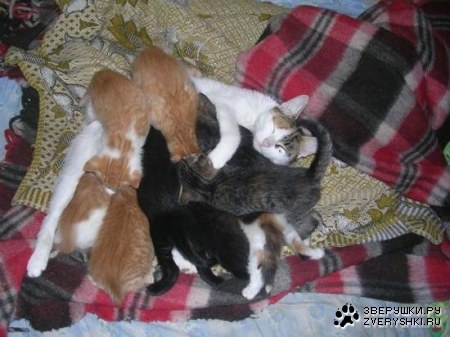 ��������� :)