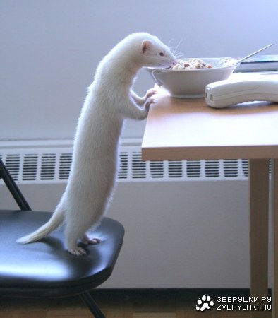 ���������� ������� :)