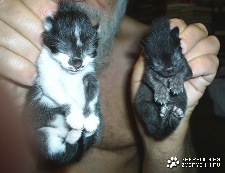 ������� :)