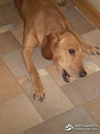 ��� ������, �� ������� ��! :)