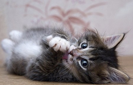 ������� ������ ;)