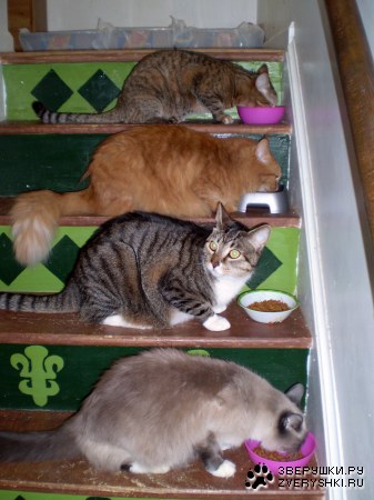 �������� ������� ;)