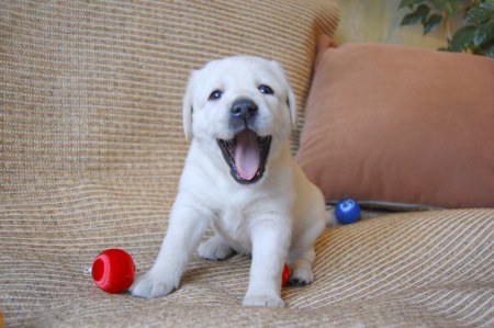 ������� :)