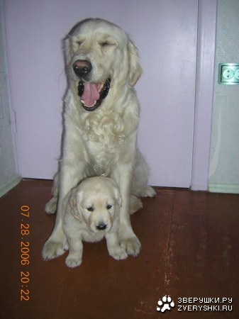 ���� � ���� ;)