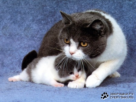 ���� � ���� ;)