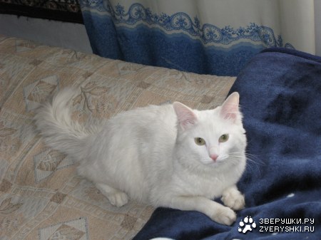 �������� ����� :)