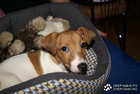 ������ ;)