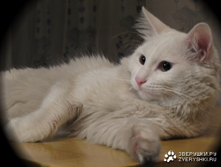 ����� ����� � ������! ;)