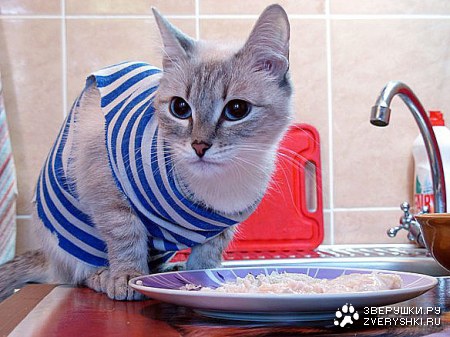 �����, � ���� ������ ;)