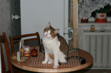 ��� ������ ;)