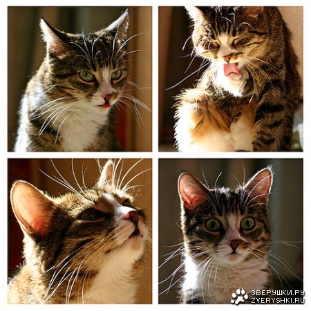 � � ����� ������ :)