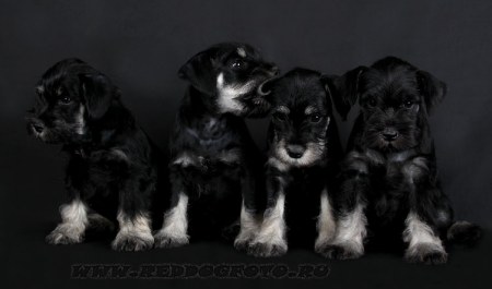 16 �������� ����������!