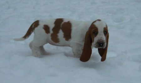 ����� ������ ����� :)