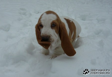 ����� ������ ����� :)