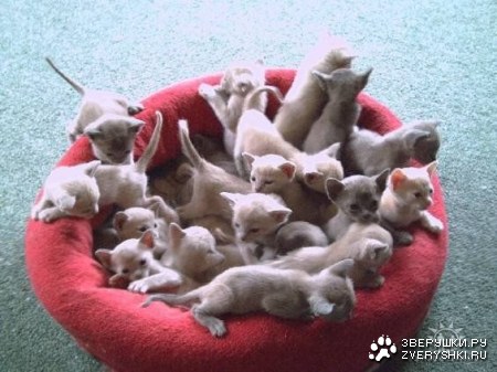 ��������� ������� :)