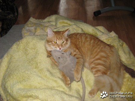 � ���� ��������� ���������! :)