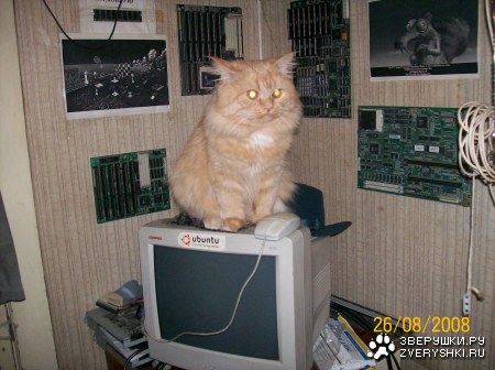 ��� ��� ����� - ������� � ��� �����!