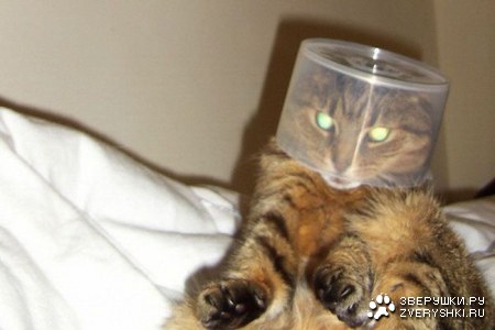 ����-��� ;)