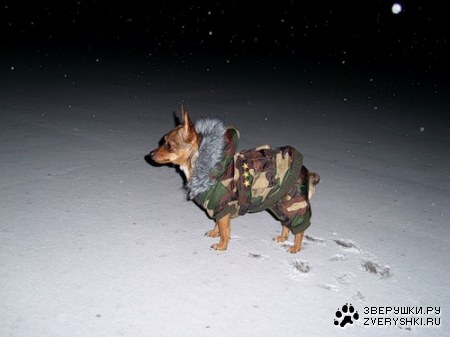 ������ ������� ;)