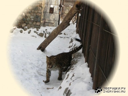 �������� � ����������� ������� �� ����� (9 ����)