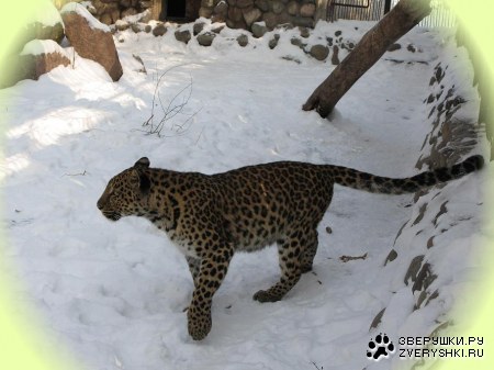 �������� � ����������� ������� �� ����� (9 ����)