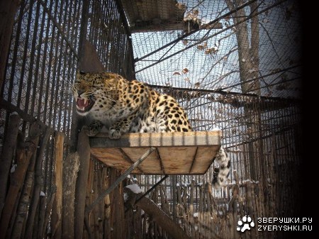 �������� � ����������� ������� �� ����� (9 ����)