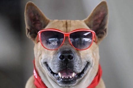 ������ �������� (25 �������� ����)