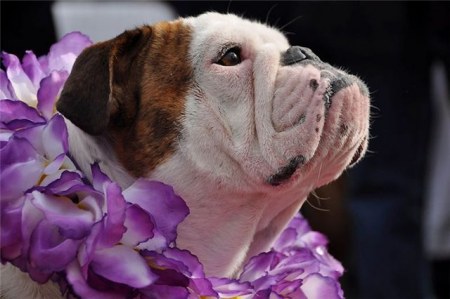 ������ �������� (25 �������� ����)