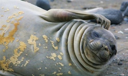 ������ �������� (25 �������� ����)