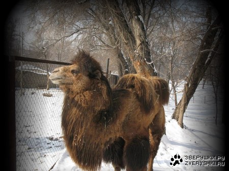 �������� � ����������� ������� �� ����� (9 ����)