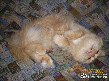 ����������� ������ :)