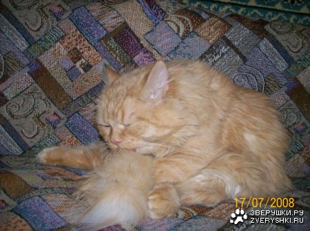 ����������� ������ :)