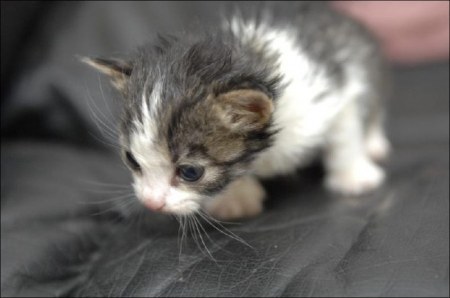 ������� :)