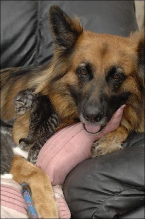 ������� :)