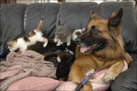 ������� :)