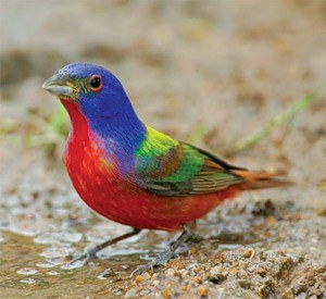 ����� ������������ ������ :)